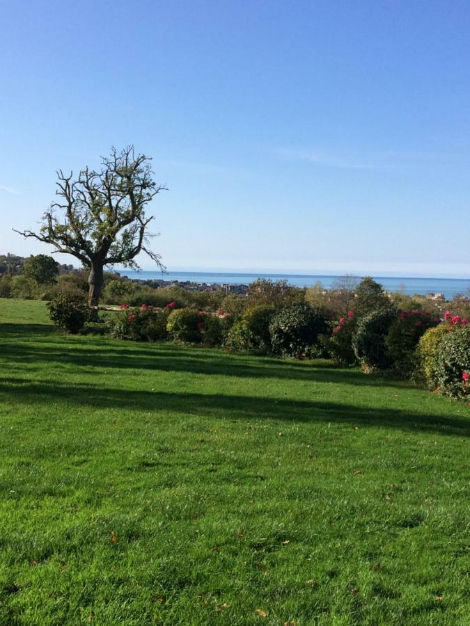 Les Champs Rabats Bed & Breakfast วิลเลร์-ซูร์-แมร์ ภายนอก รูปภาพ